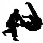 Hapkido em Botafogo